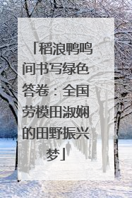 稻浪鸭鸣间书写绿色答卷：全国劳模田淑娴的田野振兴梦