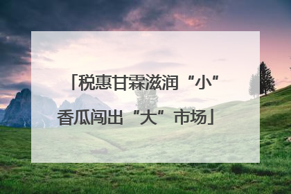 税惠甘霖滋润“小”香瓜闯出“大”市场