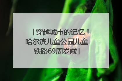 穿越城市的记忆！哈尔滨儿童公园儿童铁路69周岁啦