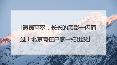 窸窸窣窣，长长的黑影一闪而过！北京有住户家中蛇出没