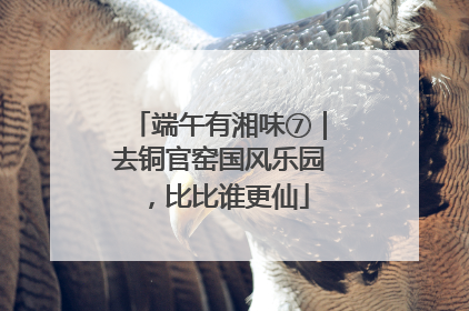 端午有湘味⑦｜去铜官窑国风乐园，比比谁更仙