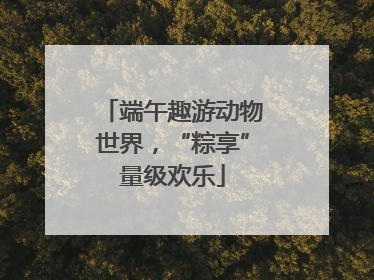 端午趣游动物世界，“粽享”量级欢乐