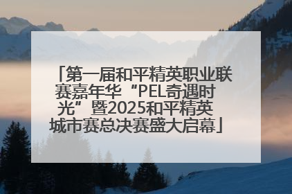 第一届和平精英职业联赛嘉年华“PEL奇遇时光”暨2025和平精英城市赛总决赛盛大启幕