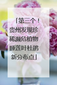 第三个！贵州发现珍稀濒危植物睡莲叶杜鹃新分布点