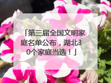 第三届全国文明家庭名单公布，湖北30个家庭当选！