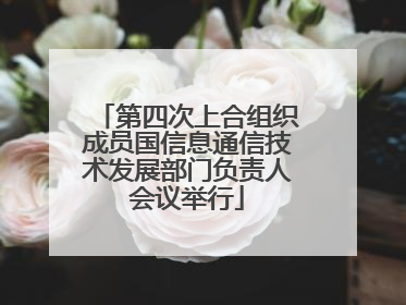 第四次上合组织成员国信息通信技术发展部门负责人会议举行