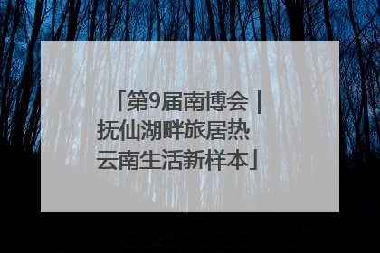 第9届南博会｜抚仙湖畔旅居热 云南生活新样本