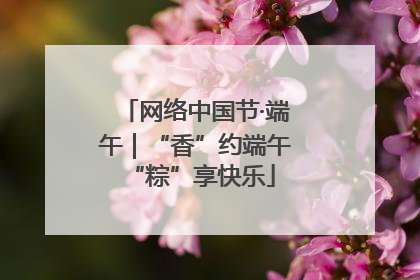 网络中国节·端午｜“香”约端午 “粽”享快乐