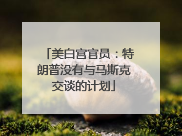 美白宫官员：特朗普没有与马斯克交谈的计划
