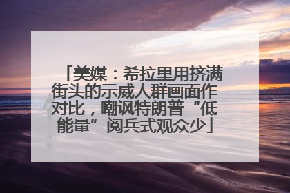 美媒：希拉里用挤满街头的示威人群画面作对比，嘲讽特朗普“低能量”阅兵式观众少
