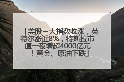 美股三大指数收涨，英特尔涨近8%，特斯拉市值一夜增超4000亿元！黄金、原油下跌