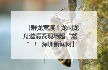 群龙竞渡！龙岗龙舟邀请赛现场超“燃”！_深圳新闻网