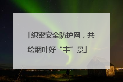 织密安全防护网，共绘烟叶好“丰”景