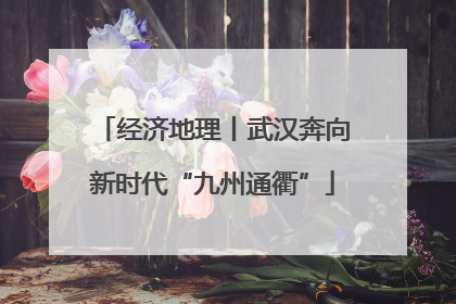 经济地理丨武汉奔向新时代“九州通衢”