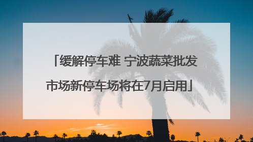 缓解停车难 宁波蔬菜批发市场新停车场将在7月启用