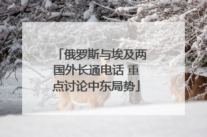 俄罗斯与埃及两国外长通电话 重点讨论中东局势