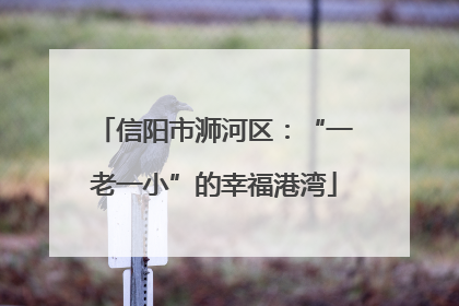 信阳市浉河区：“一老一小”的幸福港湾