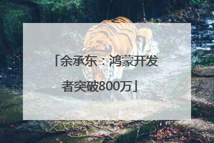 余承东：鸿蒙开发者突破800万