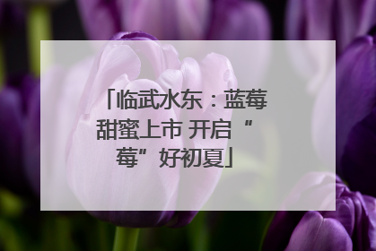 临武水东：蓝莓甜蜜上市 开启“莓”好初夏