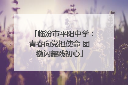 临汾市平阳中学：青春向党担使命 团徽闪耀践初心