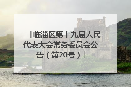 临淄区第十九届人民代表大会常务委员会公告（第20号）