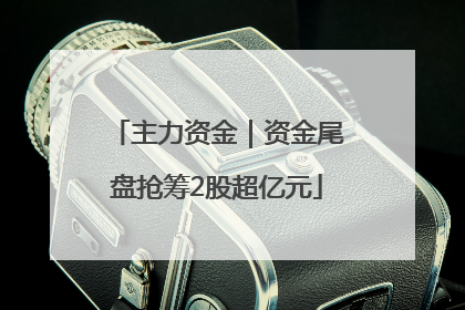 主力资金｜资金尾盘抢筹2股超亿元