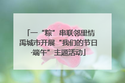 一“粽”串联邻里情 禹城市开展“我们的节日·端午”主题活动