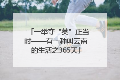 一举夺“葵”正当时——有一种叫云南的生活之365天