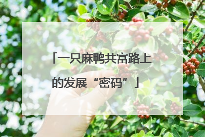 一只麻鸭共富路上的发展“密码”