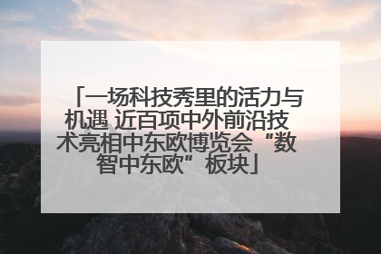 一场科技秀里的活力与机遇 近百项中外前沿技术亮相中东欧博览会“数智中东欧”板块