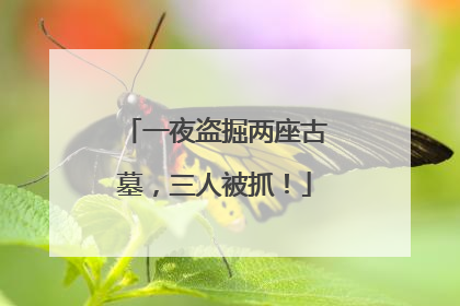 一夜盗掘两座古墓，三人被抓！