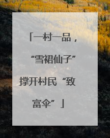 一村一品，“雪裙仙子”撑开村民“致富伞”