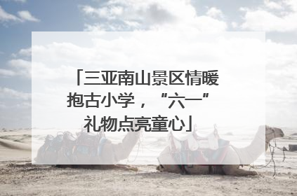 三亚南山景区情暖抱古小学，“六一”礼物点亮童心