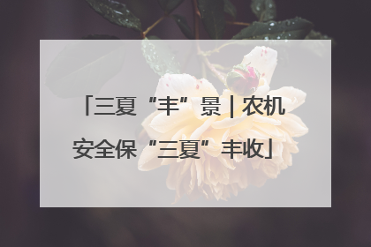 三夏“丰”景｜农机安全保“三夏”丰收