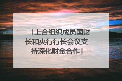 上合组织成员国财长和央行行长会议支持深化财金合作