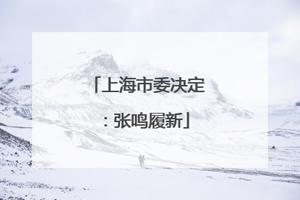 上海市委决定：张鸣履新