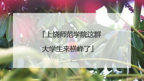 上饶师范学院这群大学生来横峰了