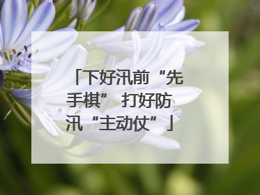 下好汛前“先手棋” 打好防汛“主动仗”