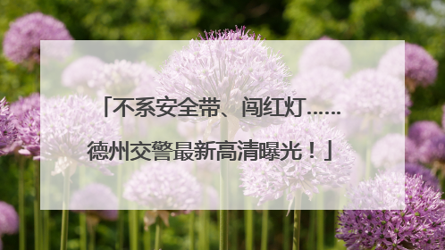 不系安全带、闯红灯……德州交警最新高清曝光！