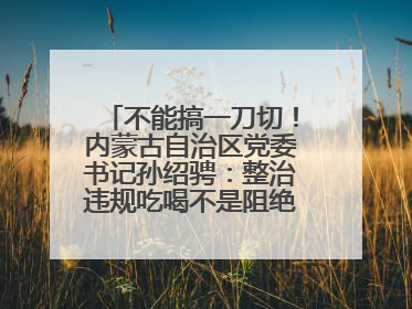 不能搞一刀切！内蒙古自治区党委书记孙绍骋：整治违规吃喝不是阻绝正常人际交往、黯淡人间烟火