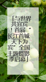 与世界 共宜宾！首届“长江首城 天下为宾”全国主题摄影季启幕