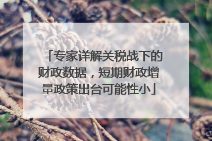 专家详解关税战下的财政数据，短期财政增量政策出台可能性小