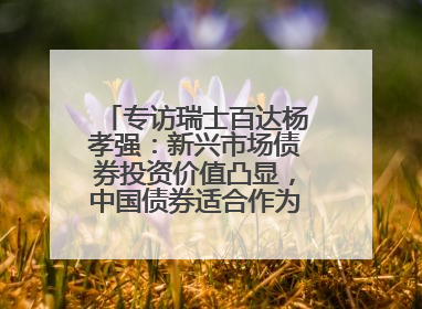专访瑞士百达杨孝强：新兴市场债券投资价值凸显，中国债券适合作为“稳定器”