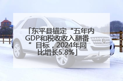 东平县锚定“五年内GDP和税收收入翻番”目标，2024年同比增长5.8%