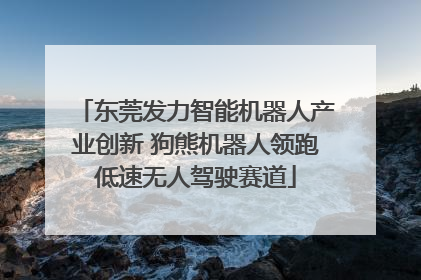 东莞发力智能机器人产业创新 狗熊机器人领跑低速无人驾驶赛道