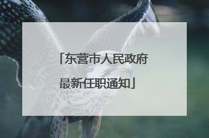 东营市人民政府最新任职通知