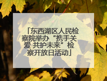 东西湖区人民检察院举办“携手关爱 共护未来”检察开放日活动