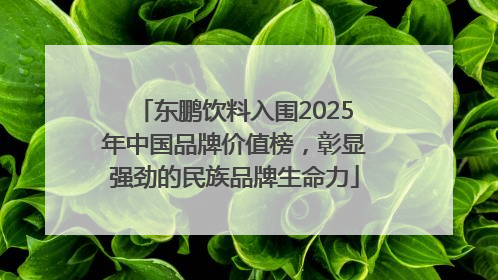 东鹏饮料入围2025年中国品牌价值榜，彰显强劲的民族品牌生命力