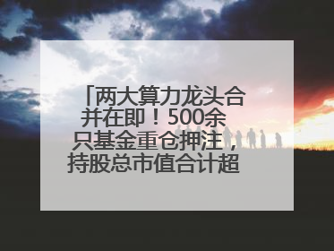 两大算力龙头合并在即！500余只基金重仓押注，持股总市值合计超380亿元