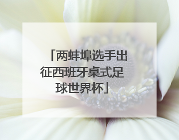 两蚌埠选手出征西班牙桌式足球世界杯